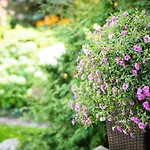 Garden Camping Tallinn