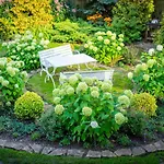 Garden Camping