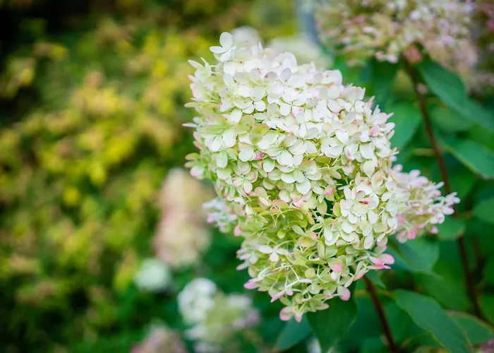 Laagriplats Garden Tallinn