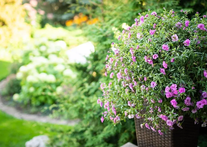 Garden אתר קמפינג טאלין