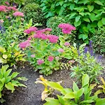 Garden * 탈린